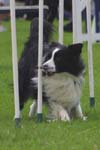 IMG_6188a